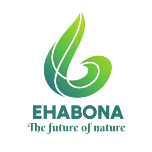 Ehabona Academy Logo