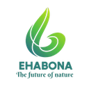 Launch of the Free IMAT 2026 Preparation Course – Ehabona Academy